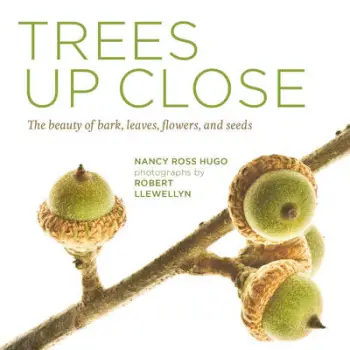 TREES UP CLOSE : THE BEAUTY OF BARK, LEAVES , FLOWERS ANS SEEDS PB