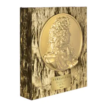 VERSAILLES : FROM LOUIS XIV TO JEFF KOONS (SPECIAL EDITION)