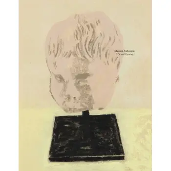 MAMMA ANDERSSON: A STORM WARNING HC