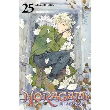 NORAGAMI STRAY GOD GN VOL 25 (RES) (MR) (C: 1-1-1)