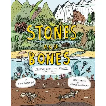 STONES AND BONES: FOSSILS AND THE STORIES THEY TELL HC
