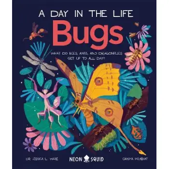 BUGS (A DAY IN THE LIFE)