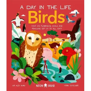 BIRDS (A DAY IN THE LIFE)