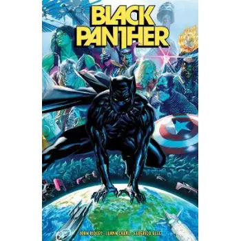 Black Panther Vol. 1: The Long Shadow Part 1    PB