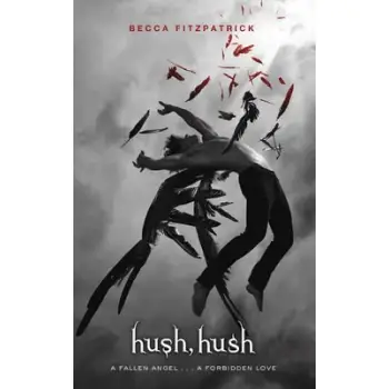 HUSH, HUSH A FALLEN ANGEL ... A FORBIDDEN LOVE HC