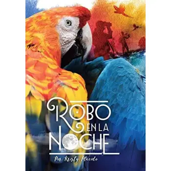 ROBO EN LA NOCHE