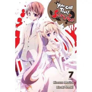 You Call That Service?, Vol. 7 (light novel)