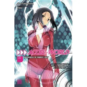 Accel World, Vol. 14 (light novel)