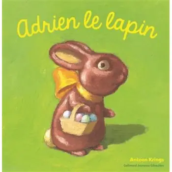 ADRIEN LE LAPIN  BROCHE