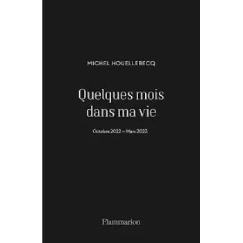 QUELQUES MOIS DANS MA VIE POCHE