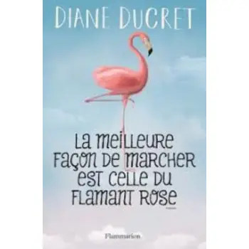 LA MEILLEURE FACON DE MARCHER EST CELLE DU FLAMANT ROSE  POCHE