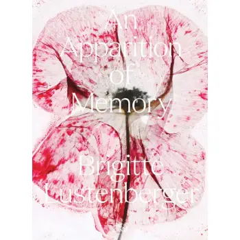 BRIGITTE LUSTENBERGER: AN APPARITION OF MEMORY HC