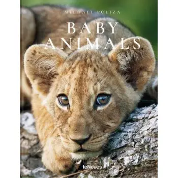 Baby Animals