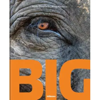 Big : A Photographic Album of the World's Largest Animals