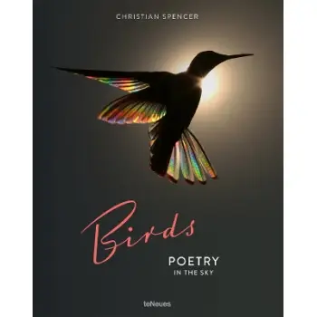 Birds : Poetry in the Sky