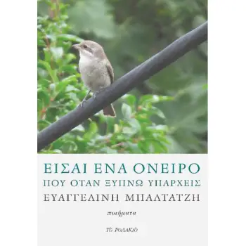 ΕΙΣΑΙ ΕΝΑ ΟΝΕΙΡΟ ΠΟΥ ΟΤΑΝ ΞΥΠΝΩ ΥΠΑΡΧΕΙΣ