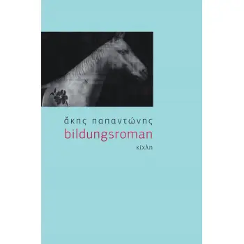 BILDUNGSROMAN