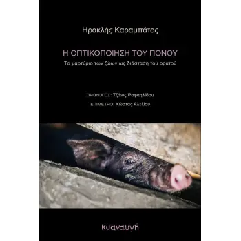 Η ΟΠΤΙΚΟΠΟΙΗΣΗ ΤΟΥ ΠΟΝΟΥ