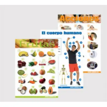 CARPETA DE RECURSOS PARA EL AULA (LIBRO + 14 CARTELES)
