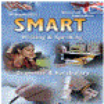 SMART ECCE & ESB B2 EXAM PREPARATION & PRACTICE (WRIT. & SPEAK., GRAM. & VOC.) SB