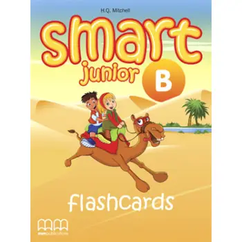 SMART JUNIOR B FLASHCARDS