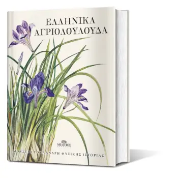 ΕΛΛΗΝΙΚΑ ΑΓΡΙΟΛΟΥΛΟΥΔΑ