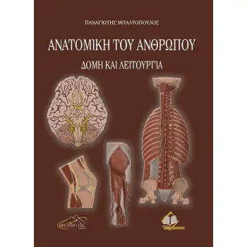 ΑΝΑΤΟΜΙΚΗ ΤΟΥ ΑΝΘΡΩΠΟΥ -ΔΟΜΗ ΚΑΙ ΛΕΙΤΟΥΡΓΙΑ