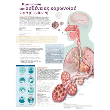 ΚΑΤΑΝΟΗΣΗ ΤΗΣ ΑΣΘΕΝΕΙΑΣ ΚΟΡΩΝΟIΟΥ 2019 (COVID-19): ΑΝΑΤΟΜΙΚΟΣ ΧΑΡΤΗΣ