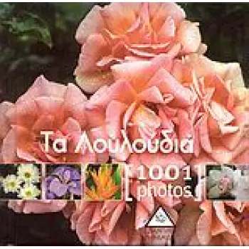 ΤΑ ΛΟΥΛΟΥΔΙΑ [1001 PHOTOS]