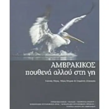 ΑΜΒΡΑΚΙΚΟΣ ΠΟΥΘΕΝΑ ΑΛΛΟΥ ΣΤΗ ΓΗ