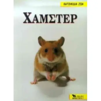 ΧΑΜΣΤΕΡ