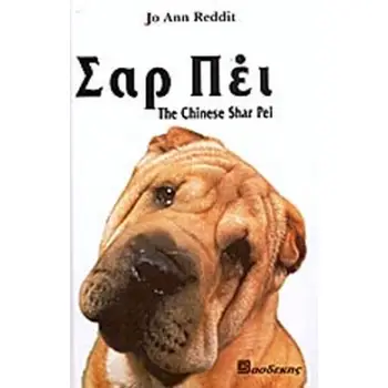 ΤΟ ΚΙΝΕΖΙΚΟ ΣΑΡ ΠΕΙ ΟΔΗΓΟΣ ΙΔΙΟΚΤΗΤΗ