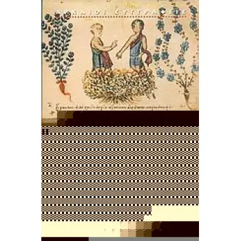 ΔΙΟΣΚΟΥΡΙΔΗΣ - ΠΕΡΙ ΥΛΗΣ ΙΑΤΡΙΚΗΣ