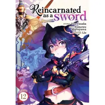 REINCARNATED SWORD VOL 12 MANGA