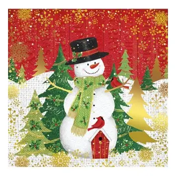 ΕΥΧΕΤΗΡΙΕΣ ΚΑΡΤΕΣ XMAS  13.5X13.5CM SNO