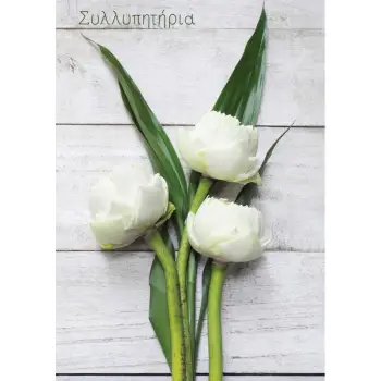 ΕΥΧΕΤΗΡΙΕΣ ΚΑΡΤΕΣ EVERY ΣΥΛΛΥΠΗΤΗΡΙΑ REGULAR SIZE