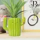 LEGAMI ΚΕΡΑΜΙΚΗ ΜΟΛΥΒΟΘΗΚΗ CACTUS LEGAMI ΚΕΡΑΜΙΚΗ ΜΟΛΥΒΟΘΗΚΗ CACTUS