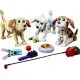 LEGO Creator 3in1 Adorable Dogs (31137) LEGO Creator 3in1 Adorable Dogs (31137)