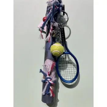 ΛΑΜΠΑΔΑ ΜΕ ΡΑΚΕΤΑ ΤΕΝΙΣ