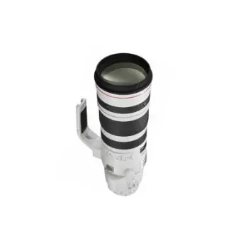 CANON EF 200-400mm f/4L IS USM Extender 1.4x - Canon DSLR Lens