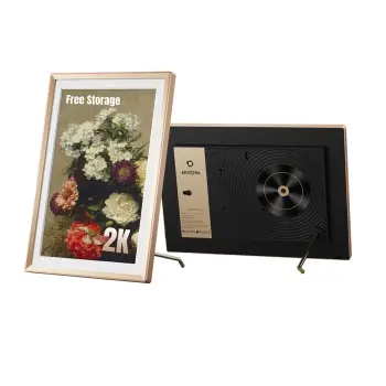 Arzopa D14 Pro Champagne Gold, 14" Digital Photo Frame