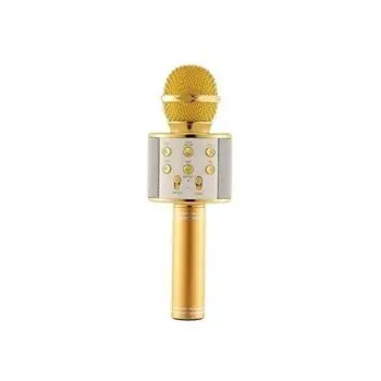 Μικρόφωνο Karaoke Wster Ws-858 Με Ηχείο - Χρυσό