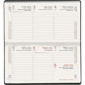 ΗΜΕΡΟΛΟΓΙΟ 2025 ΕΒΔΟΜΑΔΙΑΙΟ 8x15cm KASHMIR ΤΙΡΚΟΥΑΖ ΤΣΕΠΗΣ