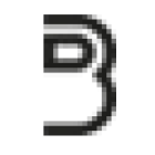 D&B PUBLISHING