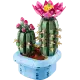 LEGO botanicals ανθισμένος κάκτος (9+) 11509