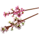 LEGO BOTANICALS Άνθη Κερασιάς (8+) 40725