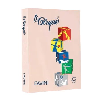 FAVINI ΧΑΡΤΙ Α4 160gsm ΣΟΜΟΝ ΠΑΣΤΕΛ 250 ΦΥΛΛΑ