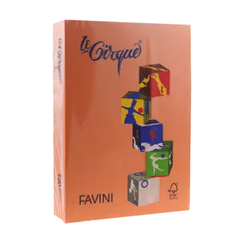 FAVINI ΧΑΡΤΙ Α4 160gsm ΠΟΡΤΟΚΑΛΙ 250 ΦΥΛΛΑ