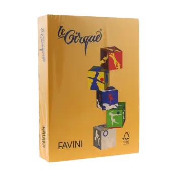 FAVINI ΧΑΡΤΙ Α4 80gsm ΠΟΡΤΟΚΑΛΙ ΑΝΟΙΧΤΟ 500 ΦΥΛΛΑ
