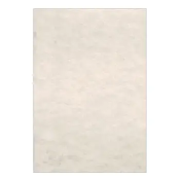 LAGUNA ΧΑΡΤΙ ΠΑΠΥΡΟΣ Α4 180gsm ΑΜΜΟΥ 125 ΦΥΛΛΑ